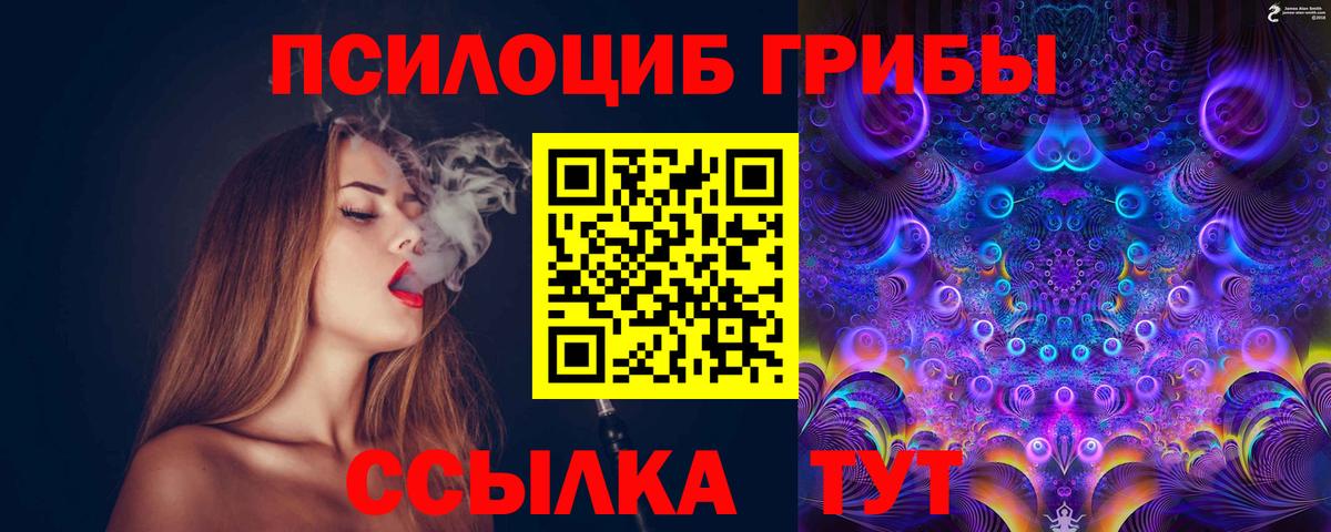 Псилоцибиновые грибы мухоморы  Вход с VPN  купить наркотик  Псилоцибиновые грибы мицелий  Канск 